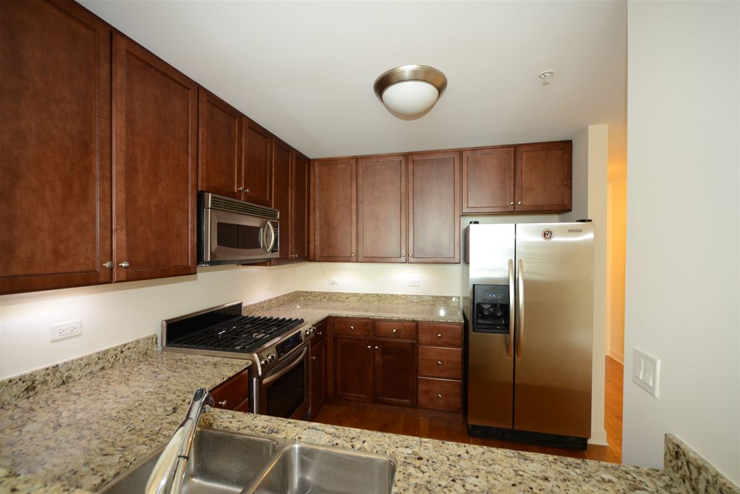 450 E Waterside, Unit 1205, Chicago, IL 60601 - New Eastside