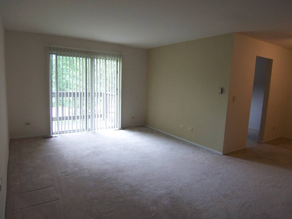 133 E Winchester, Apt C, Libertyville, IL 60048