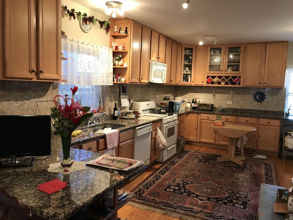 3322 N Narragansett, Chicago, IL 60634 Schorsch Village