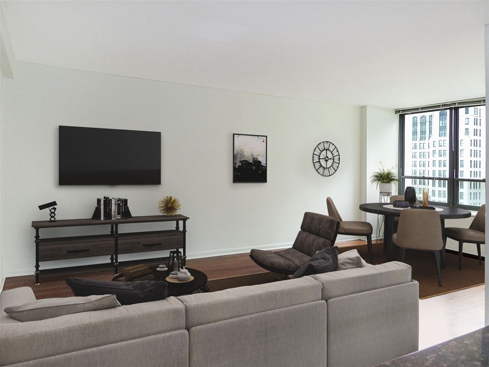 222 E Pearson, Apt 1006, Chicago, IL 60611 Streeterville