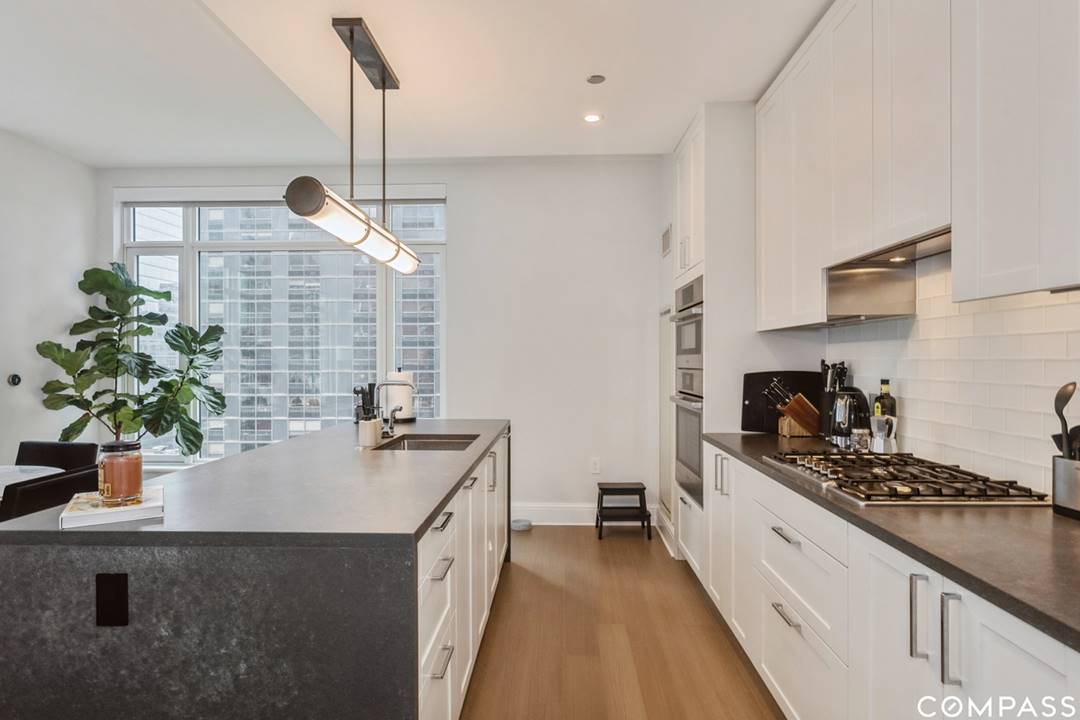 514 N Peshtigo, Apt 1401, Chicago, IL 60611 Streeterville