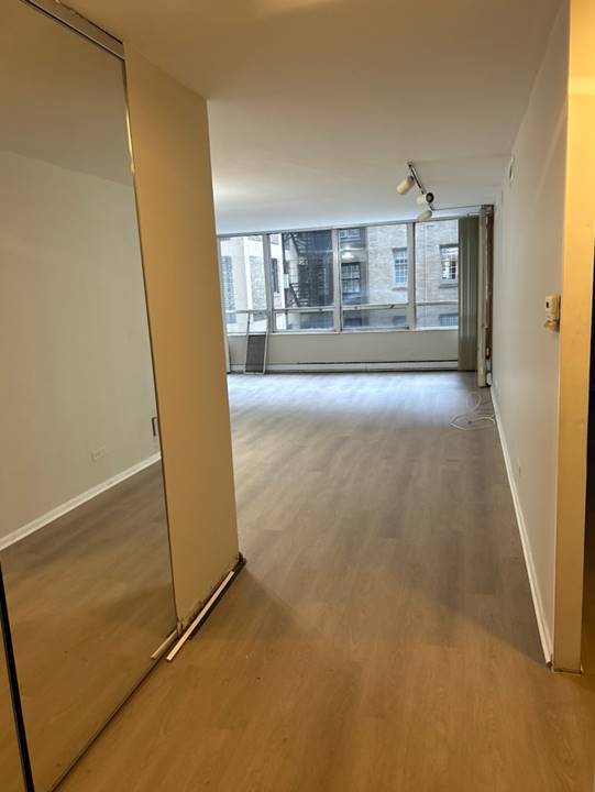 201 E Chestnut, Unit 3F, Chicago, IL 60611 Streeterville