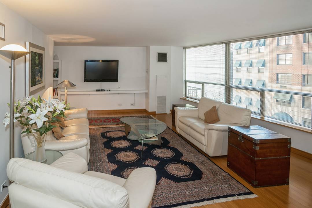 110 E Delaware, Apt 401, Chicago, IL 60611 Gold Coast