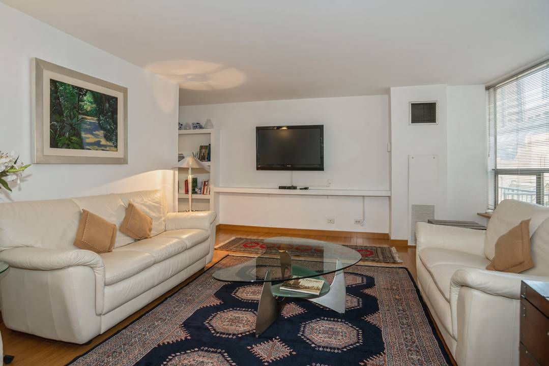 110 E Delaware, Apt 401, Chicago, IL 60611 Gold Coast