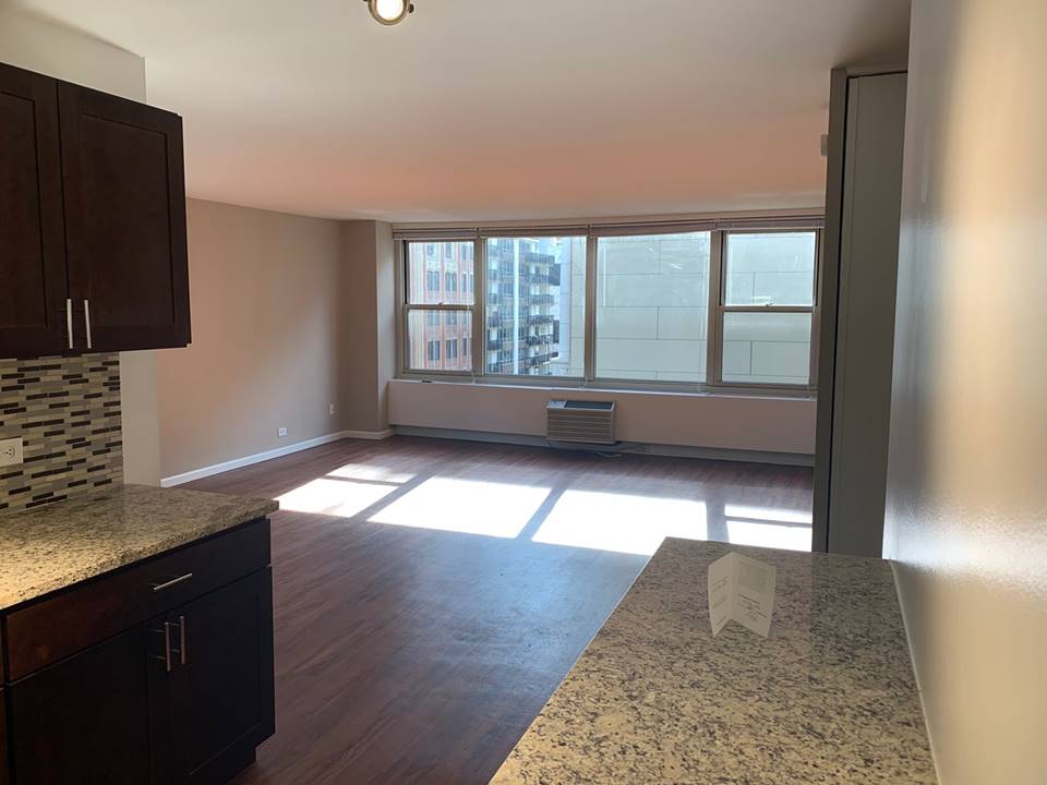 860 N Dewitt, Apt 2002, Chicago, IL 60611 Streeterville