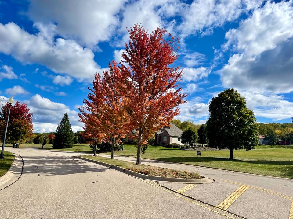 Lot 36 Red Oak, Spring Grove, IL 60081