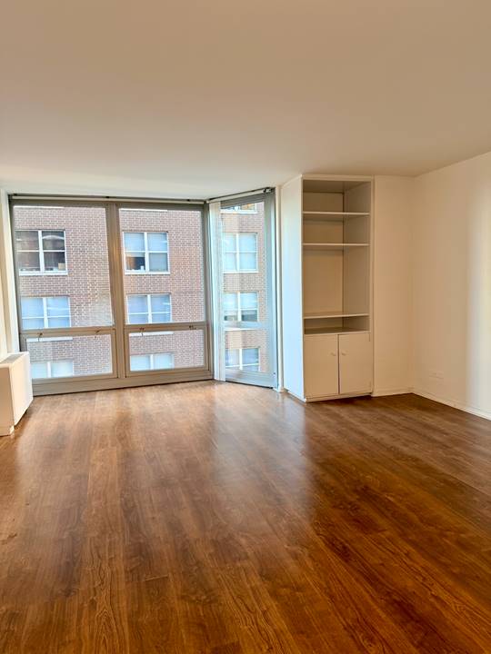 21 W Goethe, Apt 7C, Chicago, IL 60610 - Gold Coast