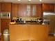 1050 N Wolcott, Chicago,  60622