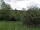 Lot #1 Bull Valley, Woodstock, IL 60098