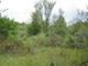 Lot #1 Bull Valley, Woodstock, IL 60098