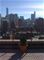 1100 N Dearborn Unit 1306, Chicago, IL 60610