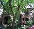 432 W Arlington Unit 3, Chicago, IL 60614