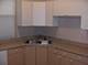 1449 N Fairfield Unit 1, Chicago, IL 60622