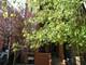 2646 N Orchard Unit 2F, Chicago, IL 60614