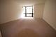 1111 N Dearborn Unit 502, Chicago, IL 60610