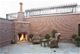 3618 N Greenview, Chicago, IL 60613