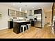 2100 N Bingham, Chicago, IL 60647