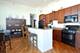 1819 S Michigan Unit 1105, Chicago, IL 60616