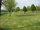 lot 34 S Bowgren, Elburn, IL 60119