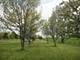 lot 34 S Bowgren, Elburn, IL 60119