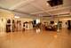 1239 N Wood, Chicago, IL 60622