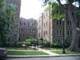 130 Callan Unit 1A, Evanston, IL 60202