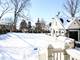4132 Grove, Western Springs, IL 60558