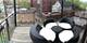 1353 N Sedgwick Unit 3, Chicago, IL 60610