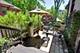 843 Cherry, Winnetka, IL 60093