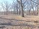 12815 S 80th, Palos Park, IL 60464