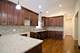 5544 S Narragansett, Chicago, IL 60638