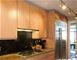435 W Erie Unit 2201, Chicago, IL 60654