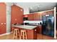 15 S Throop Unit 209, Chicago, IL 60607