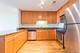 1935 S Archer Unit 318, Chicago, IL 60616