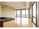 1530 S State Unit 17A, Chicago, IL 60605