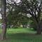 lot 8/9 Juniper, Island Lake, IL 60042