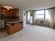 3110 N Sheridan Unit 1607, Chicago, IL 60657