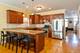 425 W 37th, Chicago, IL 60609