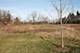 Lot 1 N Owl, Lake Barrington, IL 60010