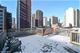 39 E Schiller Unit 4W, Chicago, IL 60610