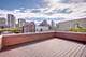 1449 N Wieland, Chicago, IL 60610
