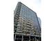 33 E Cedar Unit 17D, Chicago, IL 60611