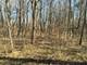 6N976 Brewster Creek - Lot A, Wayne, IL 60184