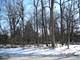 Lot 20 York, Highland Park, IL 60035