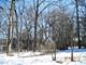 Lot 20 York, Highland Park, IL 60035