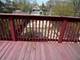 7340 S Calumet, Chicago, IL 60619