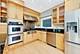 1723 W Fletcher, Chicago, IL 60657