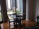 450 E Waterside Unit 306, Chicago, IL 60601