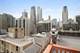 20 E Cedar Unit 10C, Chicago, IL 60611