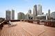 20 E Cedar Unit 10C, Chicago, IL 60611